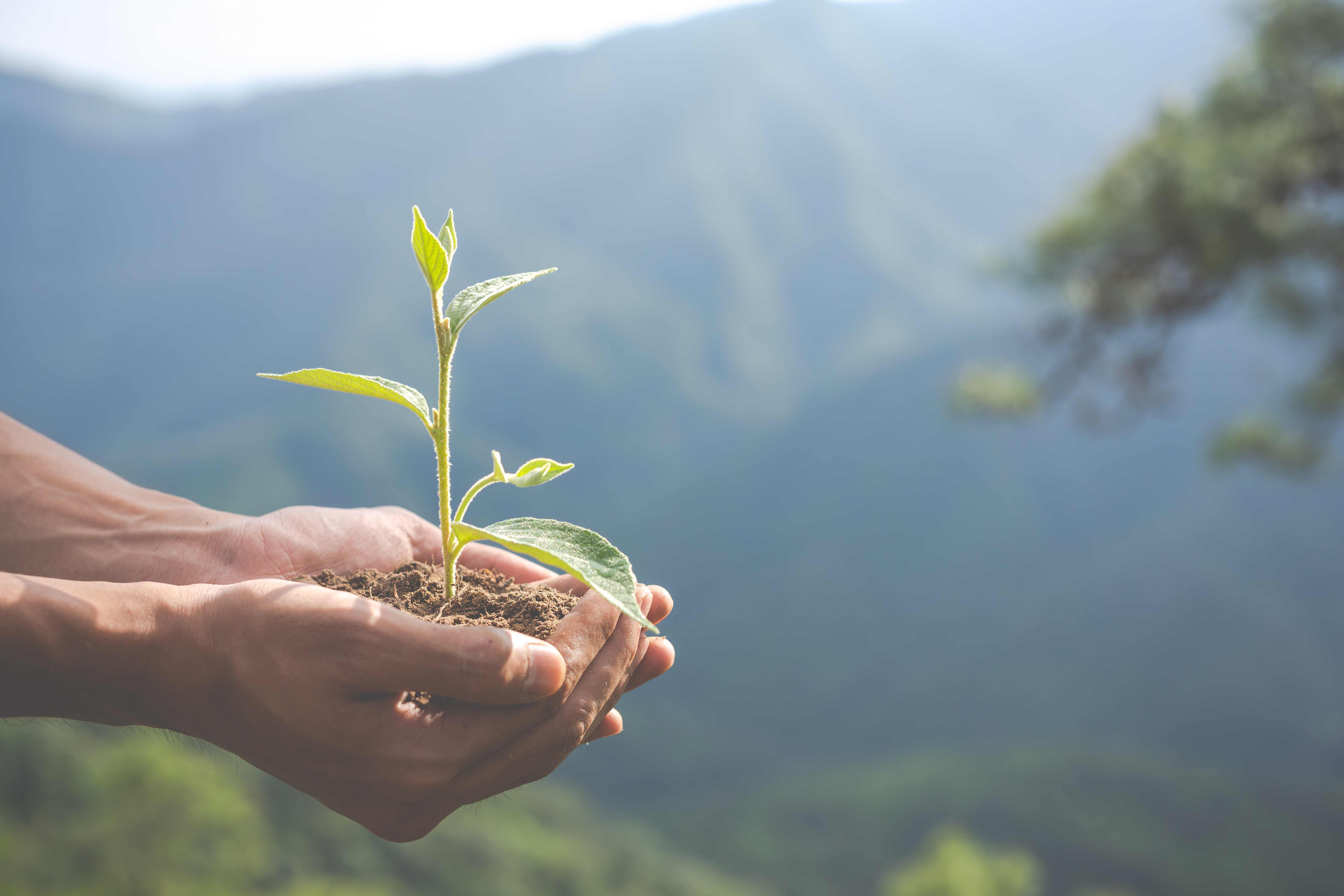 Saúde Ambiental